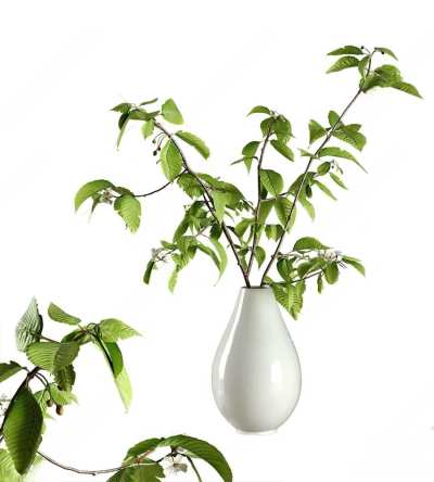 插花植物花瓶3D模型下载